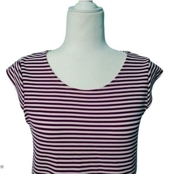 Everly Striped Purple Pink White Shift Mini Dress Cap Sleeve Crew Neck Size 4 - Picture 4 of 11